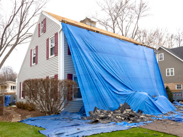 Best Hoarding Cleanup  in Holiday Shores, IL